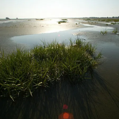 Strandhuus Holiday home Juist